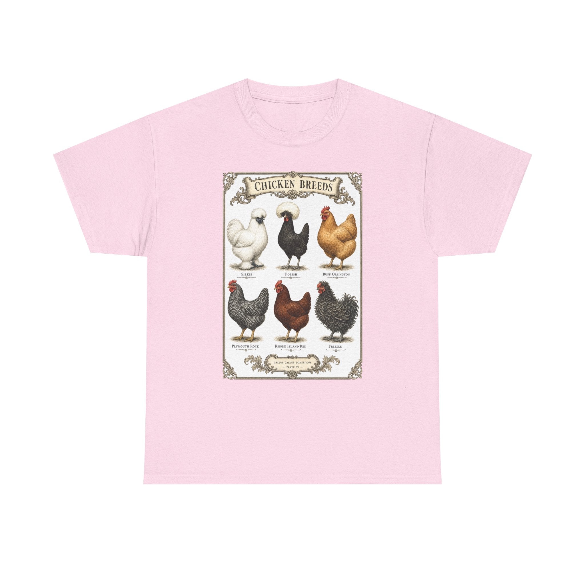 Chicken Breeds Chart Tee
