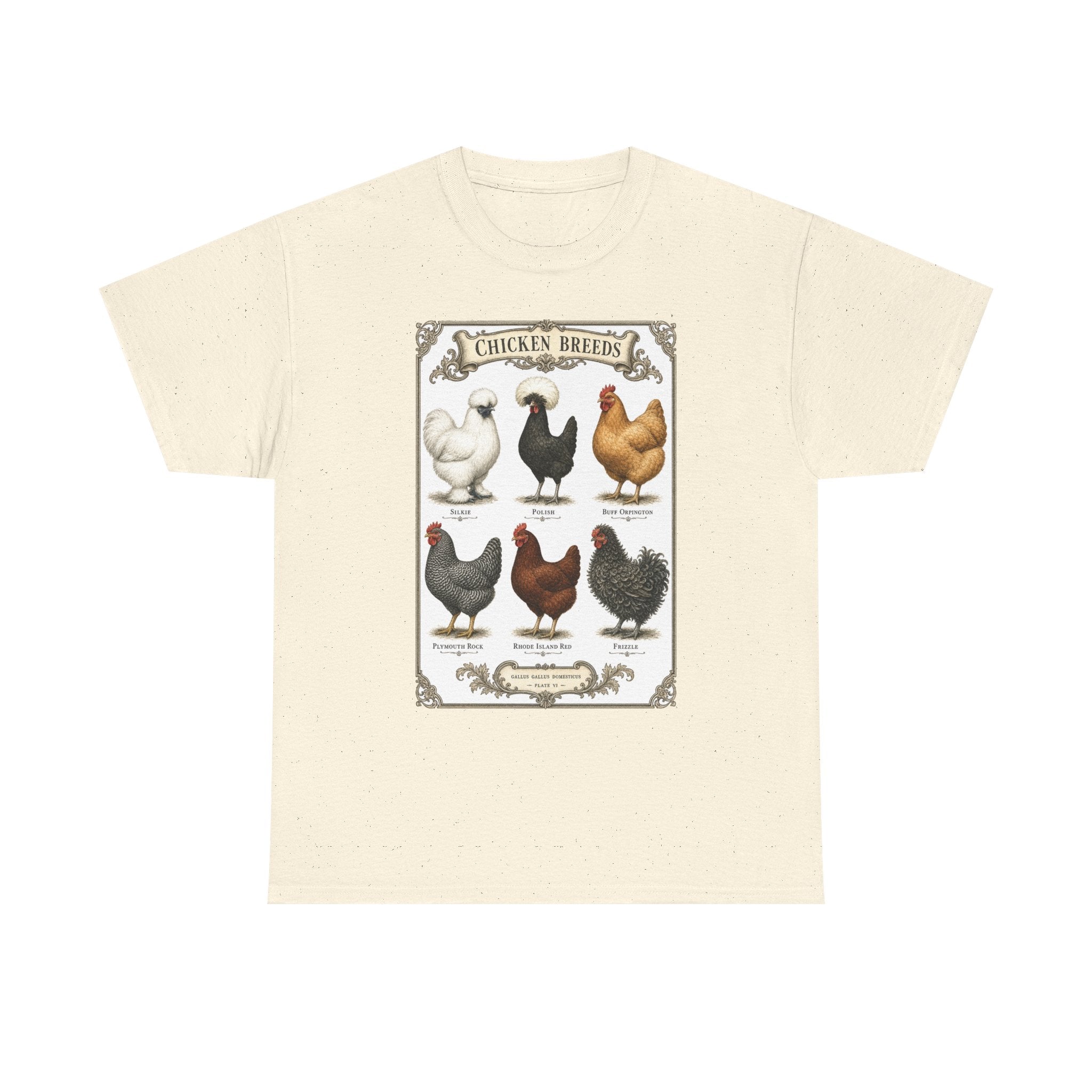 Chicken Breeds Chart Tee