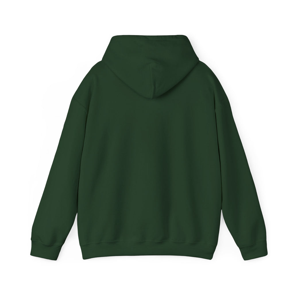 Defend Yacolt AR-15 Hoodie