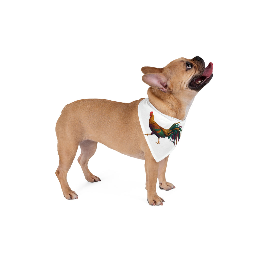 Strutting Hen Pet Bandana