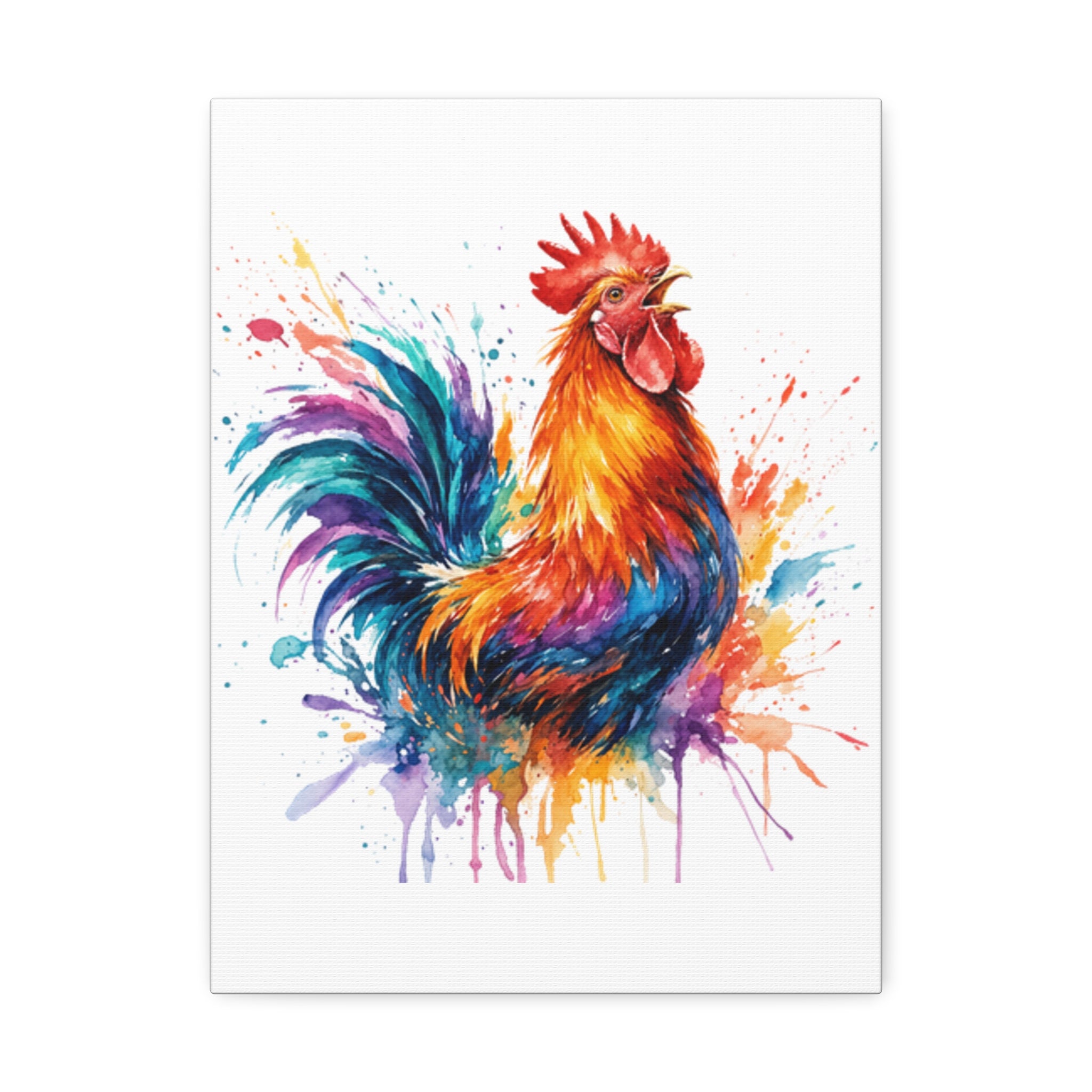 Splash Rooster Canvas