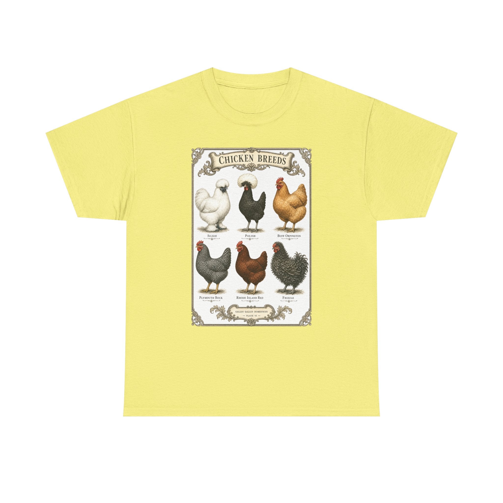 Chicken Breeds Chart Tee