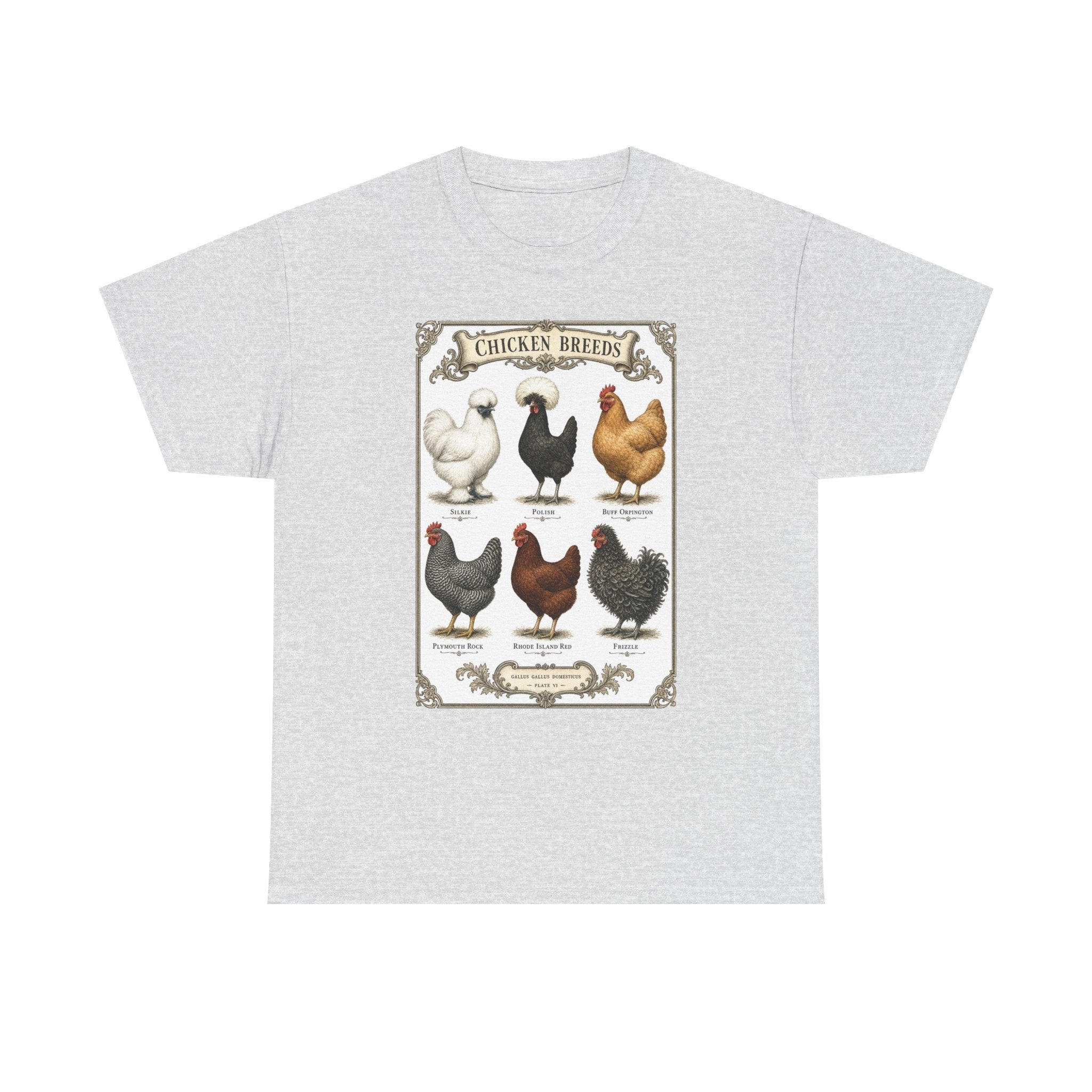 Chicken Breeds Chart Tee