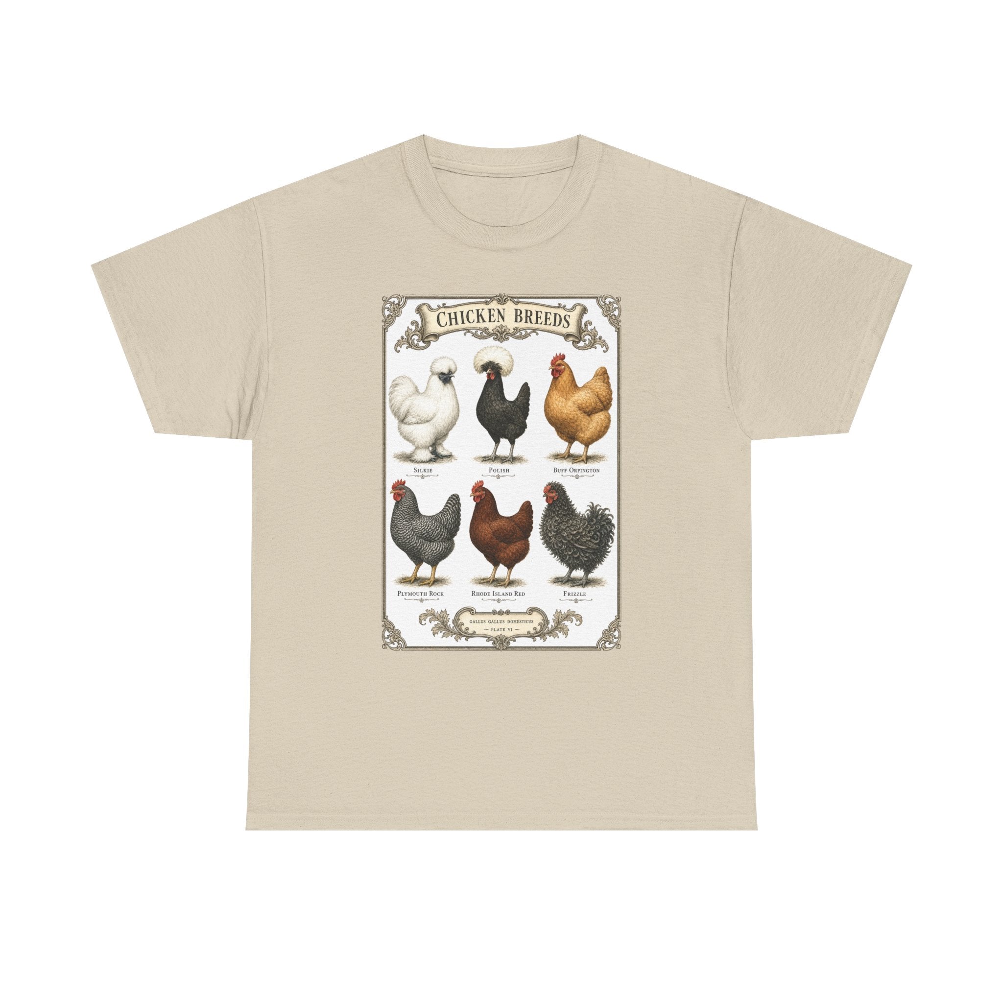 Chicken Breeds Chart Tee